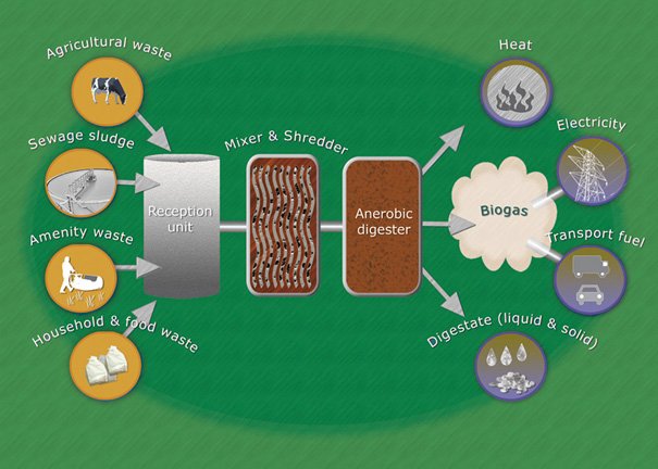 How Biogas Works, And What It Means To East Yorkshire