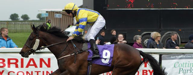 BEVERLEY RACES : Mimic In Full Cry