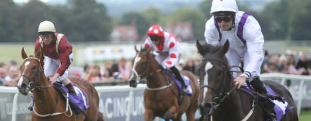 BEVERLEY RACES : Great Expectations Hilary Needler Trophy