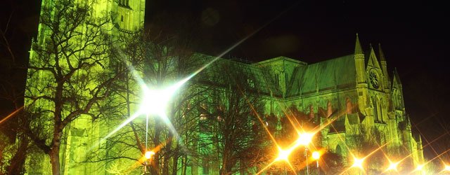 GALLERY : Beverley Minster Goes Green For MacMillan