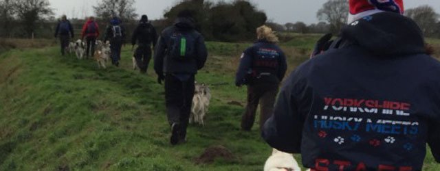 Husky Meet East Yorkshire Group Are Looking New Members