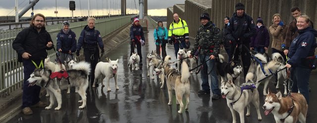 Yorkshire Husky Owners Set To Invade Lincolnshire