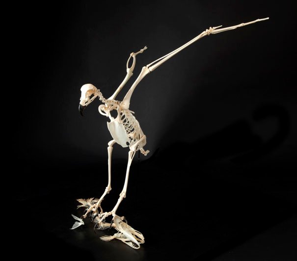 Art Workshop Brings Bare Bones To Life In Beverley