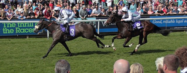 BEVERLEY RACES : Fandango The Star Attraction At Beverley