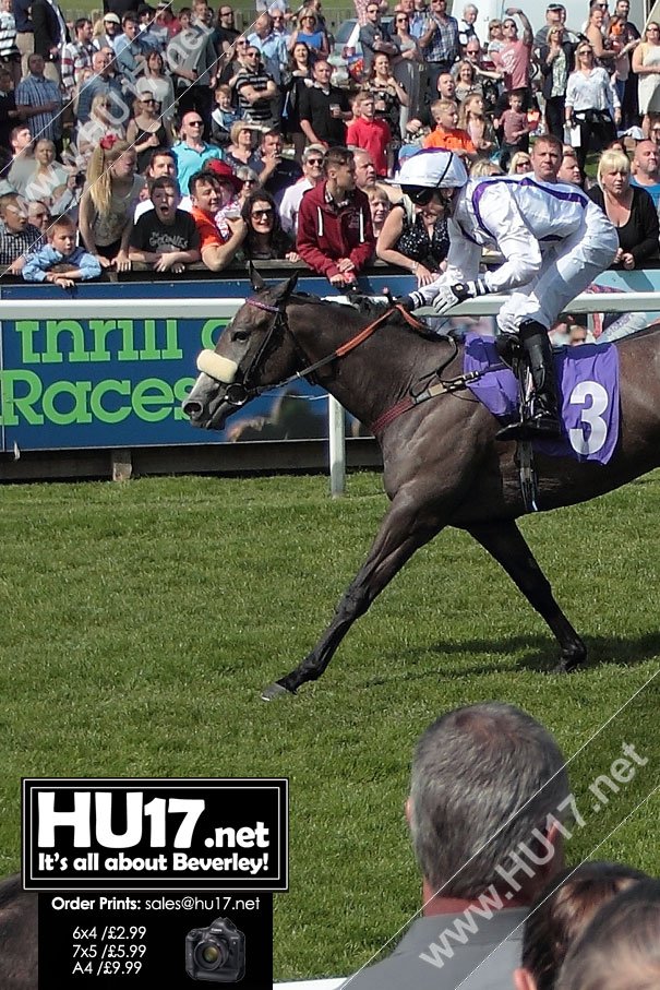 BEVERLEY RACES : Fandango The Star Attraction At Beverley