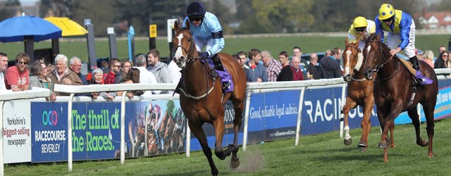 BEVERLEY RACES : Erica Bing Could Bid For Hilary Needler Glory