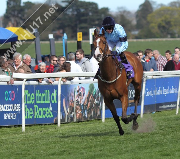 BEVERLEY RACES : Bounty Hunting Beverley Booty