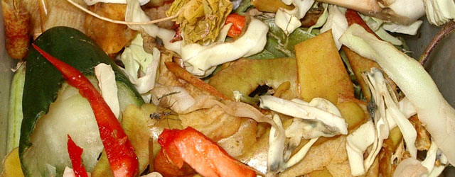Reduce Food Waste By Knowing Food Labels