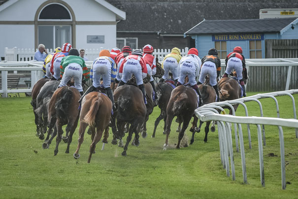 Under Starters Orders For Beverley Races 2017