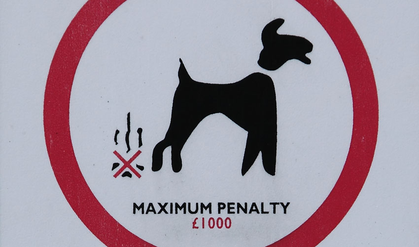 Public Help Council Wardens In Fight Against Dog Fouling