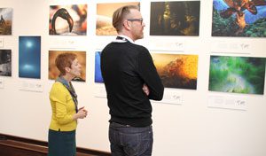 Beverley Art Gallery Curator Says Exhibition Is Visually Stunning