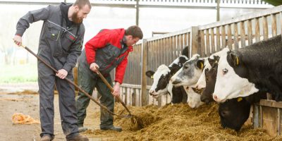 Bishop Burton College Training Yorkshire’s Future Farmers