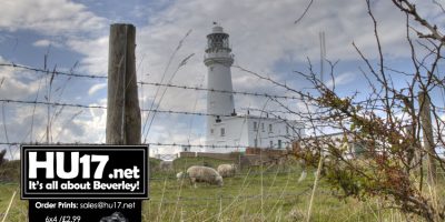 Countryside Events At Flamborough And Goole This Month