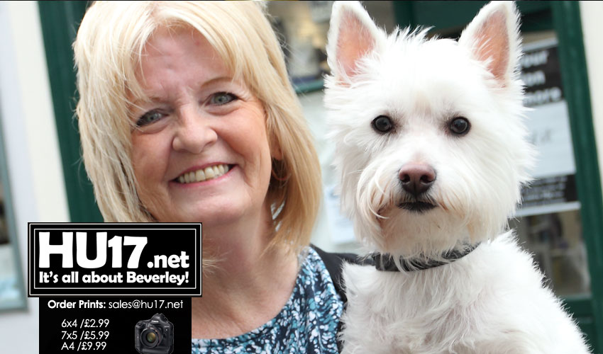 RSPCA Hull & East Yorkshire Branch Open Charity Shop In Beverley