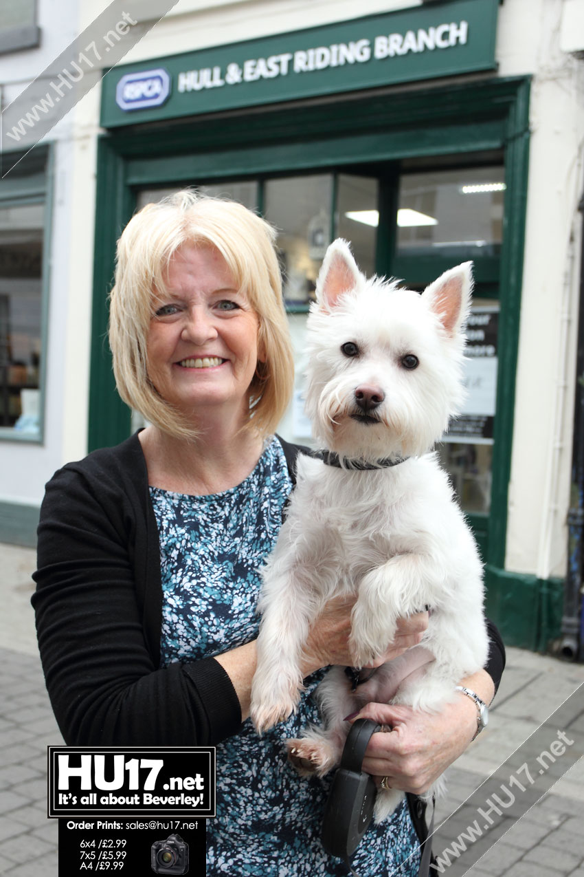 RSPCA Hull & East Yorkshire Branch Open Charity Shop In Beverley