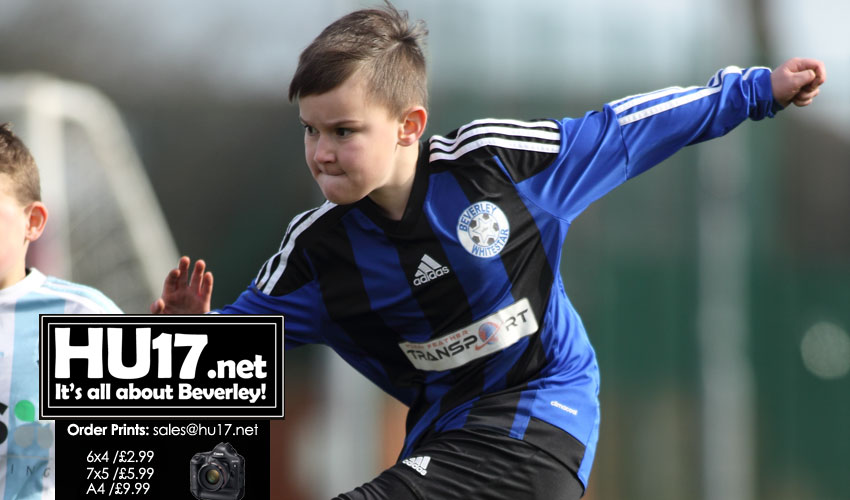 GALLERY : Beverley Whitestar Tigers Vs Hessle Rangers