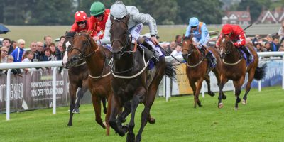 BEVERLEY RACES : Cardsharp Holds All The Aces At Beverley