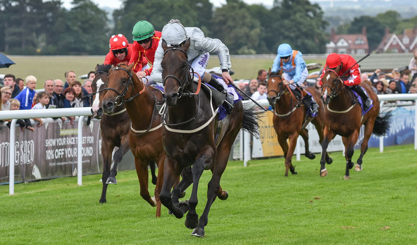 BEVERLEY RACES : Cardsharp Holds All The Aces At Beverley