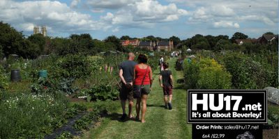 Learn More About Allotments At National Gardens Scheme Open Day