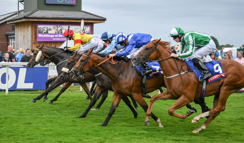 BEVERLEY RACES : Alpha Back In Beverley Bullet Firing Line