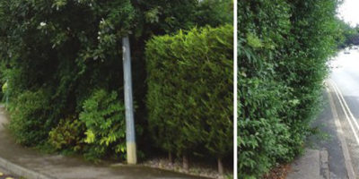 Residents Urged To Cut Back Hedges And Trees Causing Obstructions