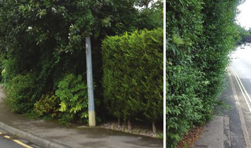 Residents Urged To Cut Back Hedges And Trees Causing Obstructions