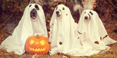 Top 5 Tips To Make The Most Of Halloween As An Adult