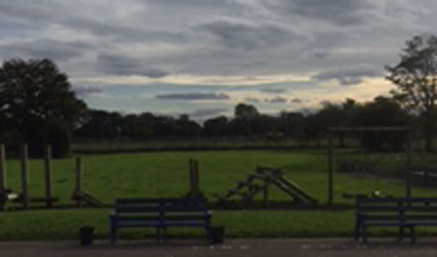 Woodmansey Primary School Look For Volunteers To Help Plant Trees