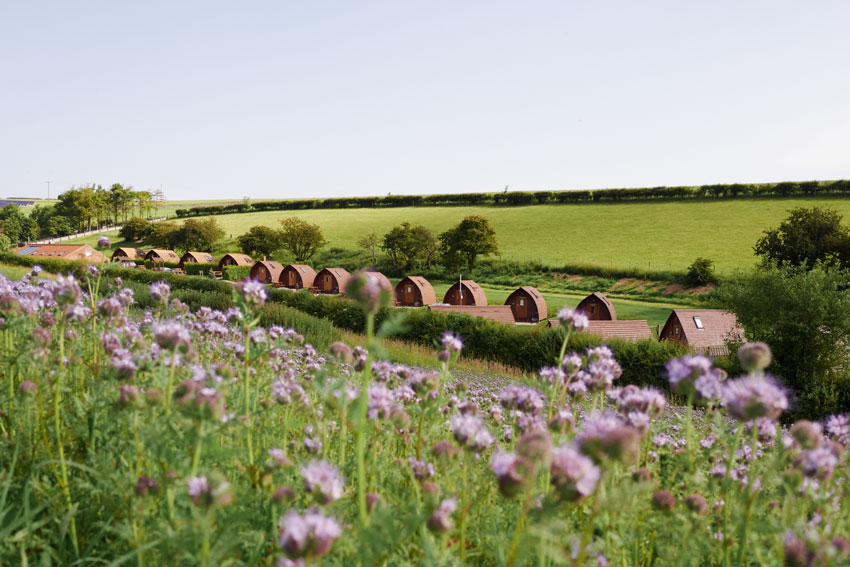 Back To Nature At Award-Winning Glamping Site