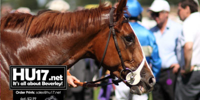 Irish Raider Staycation In Hat For Brian Yeardley Two-Year-Old Trophy