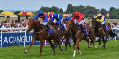 BEVERLEY RACES : Jungle Inthebungle Rules At Beverley