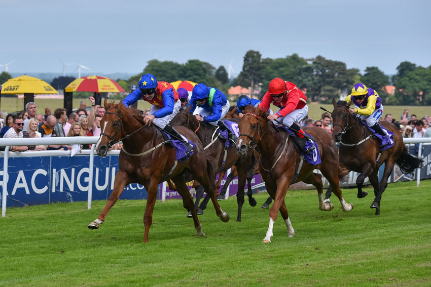 BEVERLEY RACES : Jungle Inthebungle Rules At Beverley