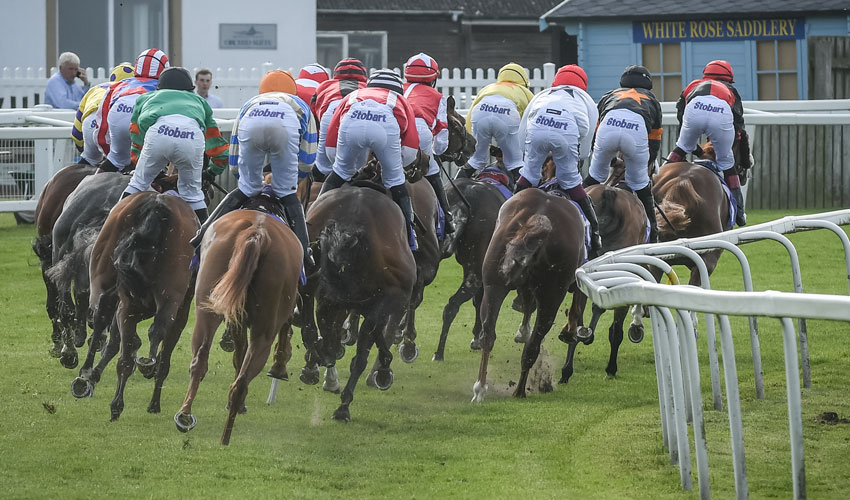 BEVERLEY RACES : Que Amoro On The March At Beverley