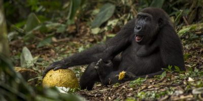 Wildlife Photographer Of The Year Exhibition Returns To Beverley This Saturday