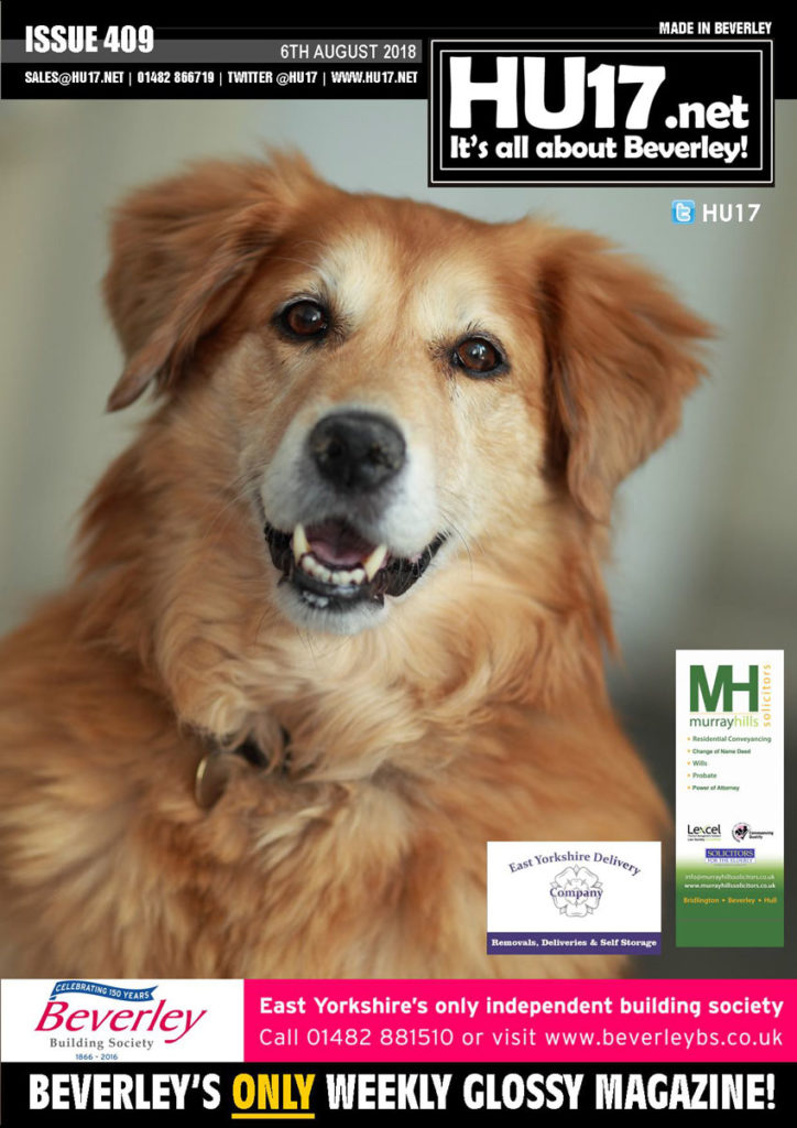 HU17.net Magazine Issue 409