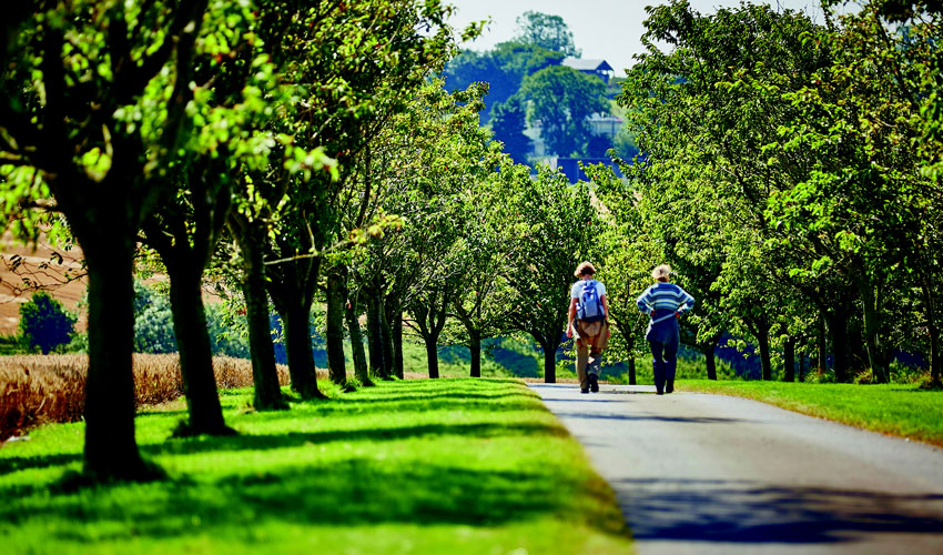 Let’s Get Ready To Ramble! - The Yorkshire Wolds Walking And Outdoor Festival