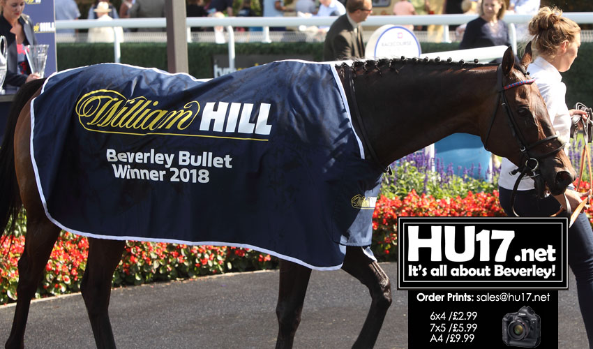 Take Cover Makes It Back-To-Back Beverley Bullet Wins