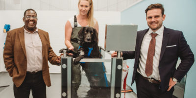 Fit4Dogs Sees Former Swimming Instructor Swap People For Pooches