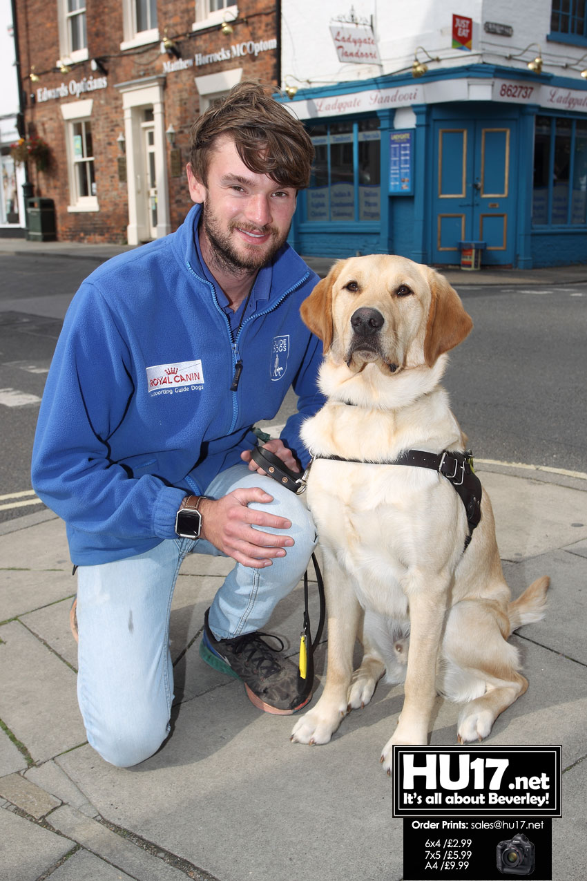 Guide Dogs Looking For Kind People To Board With During Training