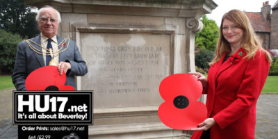 Giant Poppies : Why They Are Appearing All Over Beverley