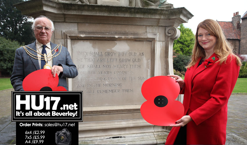 Giant Poppies : Why They Are Appearing All Over Beverley