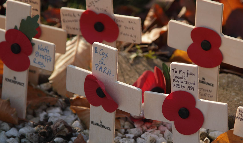 City To Pause And Reflect On 100th Anniversary Of The Armistice