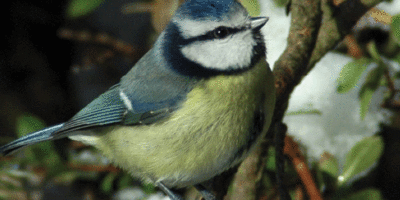 Discover A New Place To Watch Wildlife In Beverley
