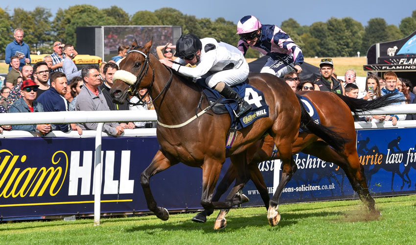 BEVERLEY RACES : Judicial Lays Down The Law In Beverley Bullet