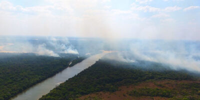 Brazil Forest Fires Threaten Project Sponsored By Yorkshire Wildlife Park Foundation