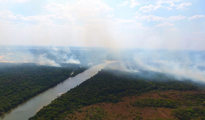 Brazil Forest Fires Threaten Project Sponsored By Yorkshire Wildlife Park Foundation