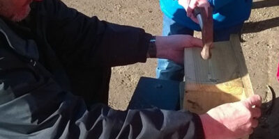 Build a Bird Box Course To Be Held In Beverley