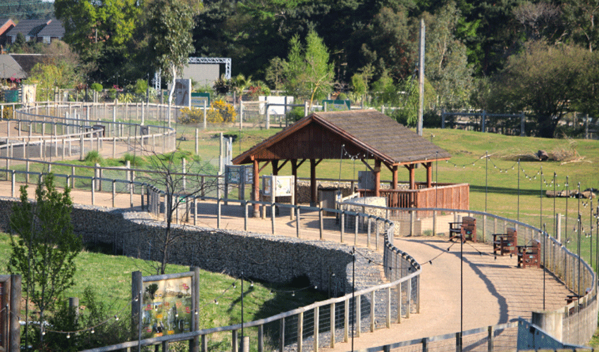 Award-Winning Wildlife Park Reflects On A Very Different Bank Holiday Weekend