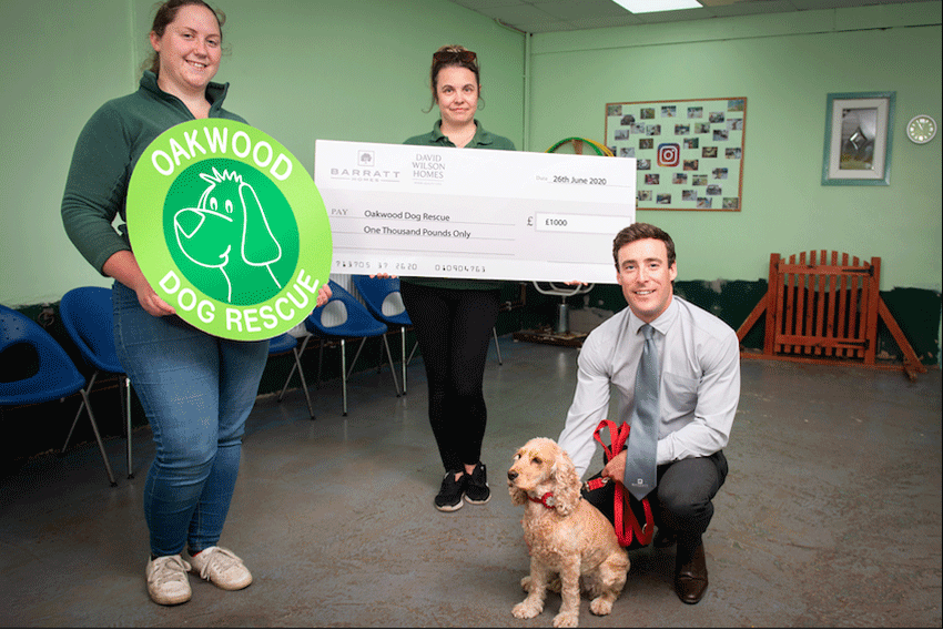 Local Housebuilder Donates £1,000 To Oakwood Dog Rescue, In Hull