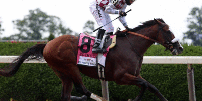 Belmont Stakes Winner Tiz The Law All Set For Triple Crown Showdown